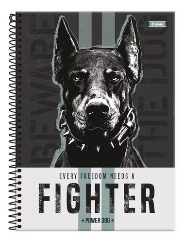 Caderno CD 80Fls 1Mat Power Dog Fsc 