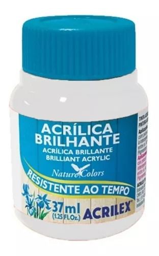 Tinta Acrílica Bril. 37ml Ref.519 Branco