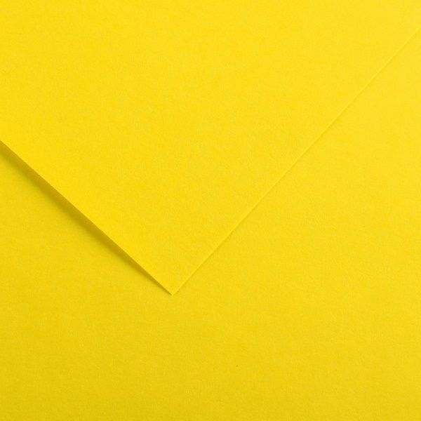 Papel Vivaldi 120g 50x65 Ref.C200040041 A...