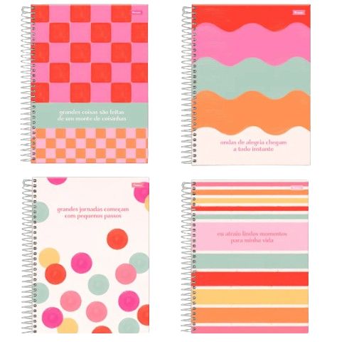 Caderno CD 160Fls 10Mat Diz Ai Fsc 