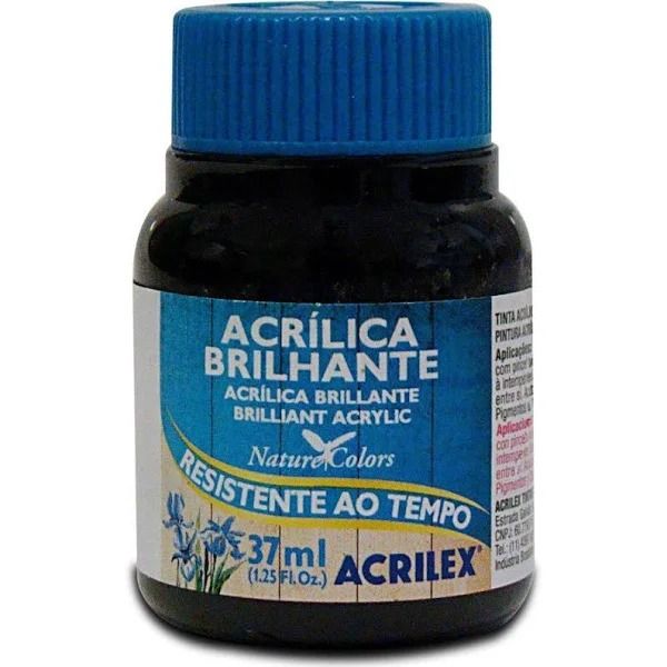 Tinta Acrílica Bril. 37ml Ref.520 Preto