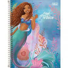 Caderno CD Univ. Pequ.Ser10Mat. 160Fls Re...