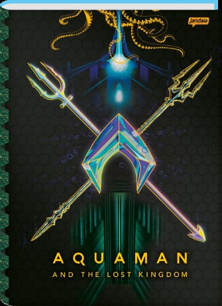 Caderno CD 10 Mat 160F Aquaman Ref:75141