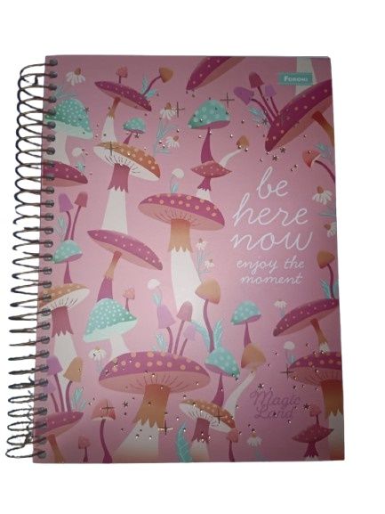 Caderno CD 160Fls 10Mat Magic Land Fsc 